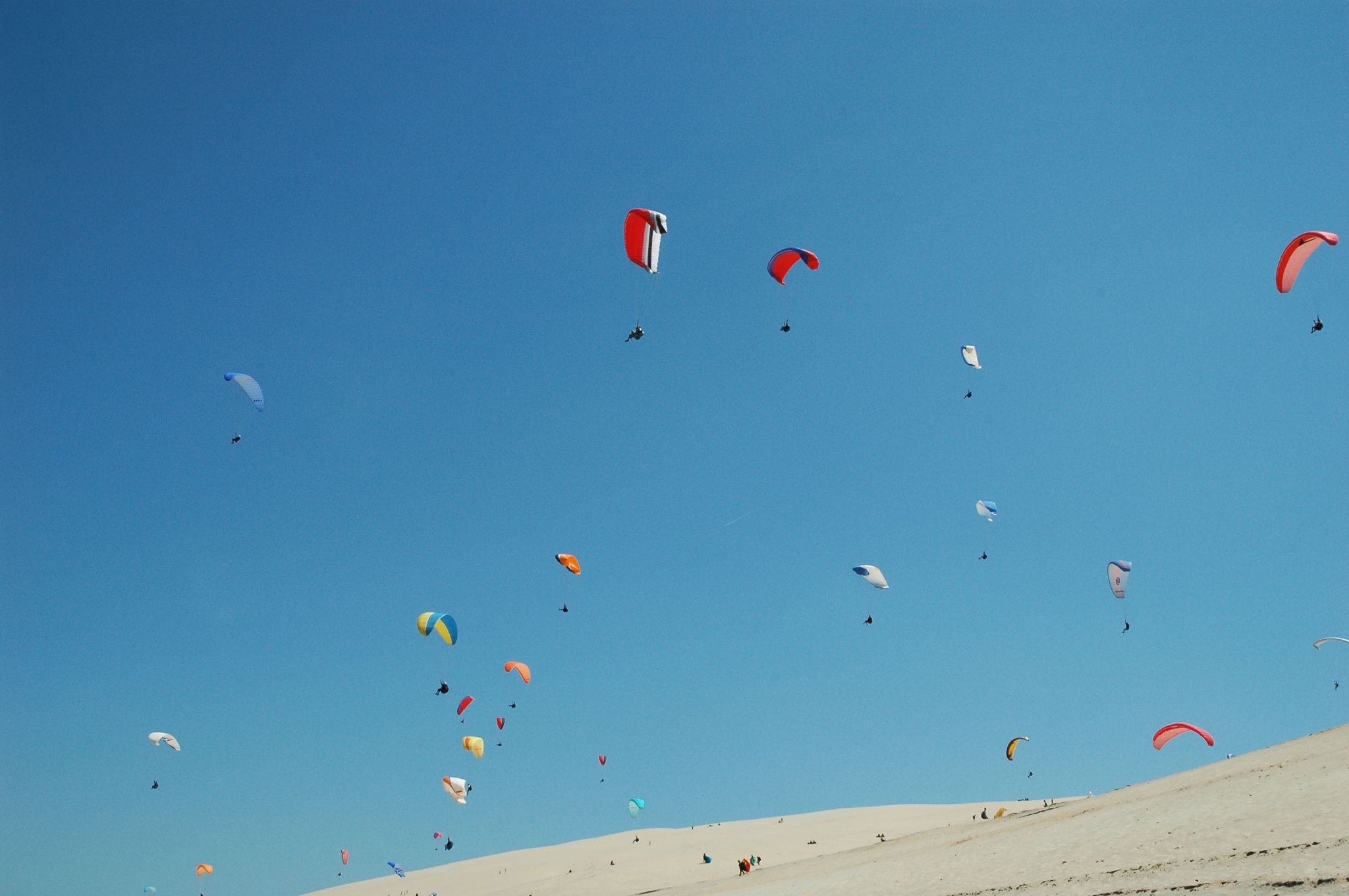 dozens of people who are flying kites on a sand dune