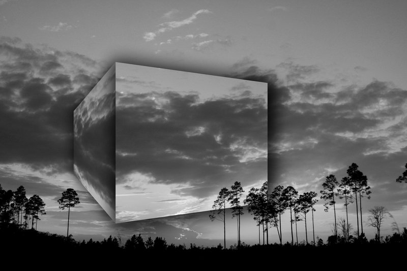 a surreal view of an empty cube in the middle of trees