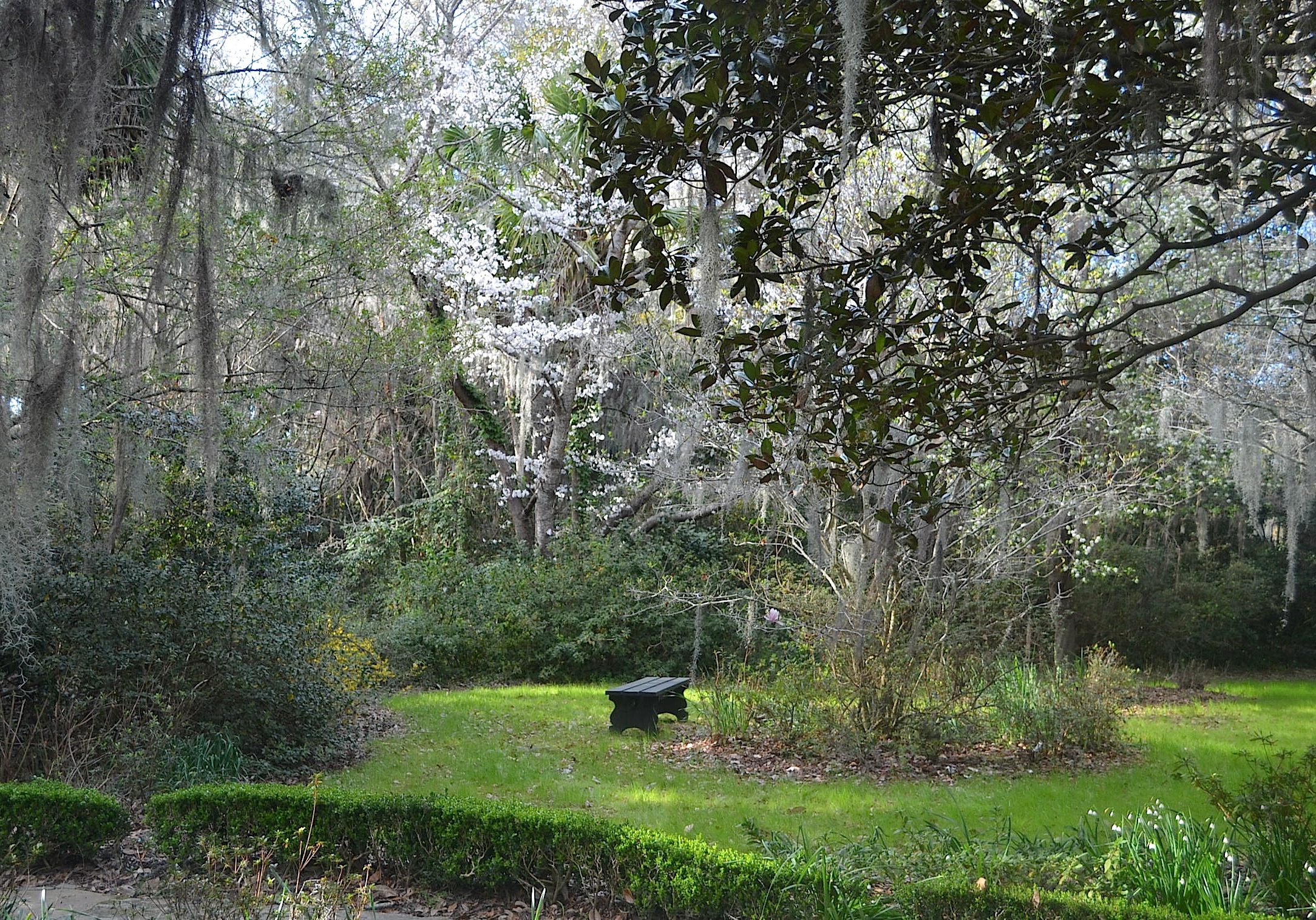 a bench sitting in the grass near many trees