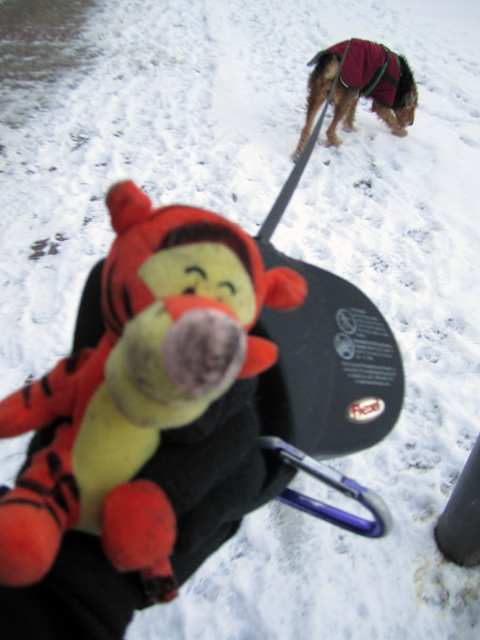 there is a small stuffed animal on a dog leash