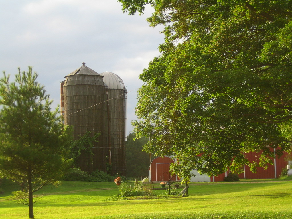 there is some animals that are standing near the barn