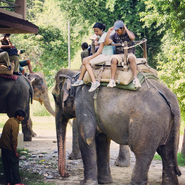 people riding an elephant and taking pictures while others stand around