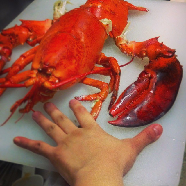 someone holding their hand out to eat some lobsters