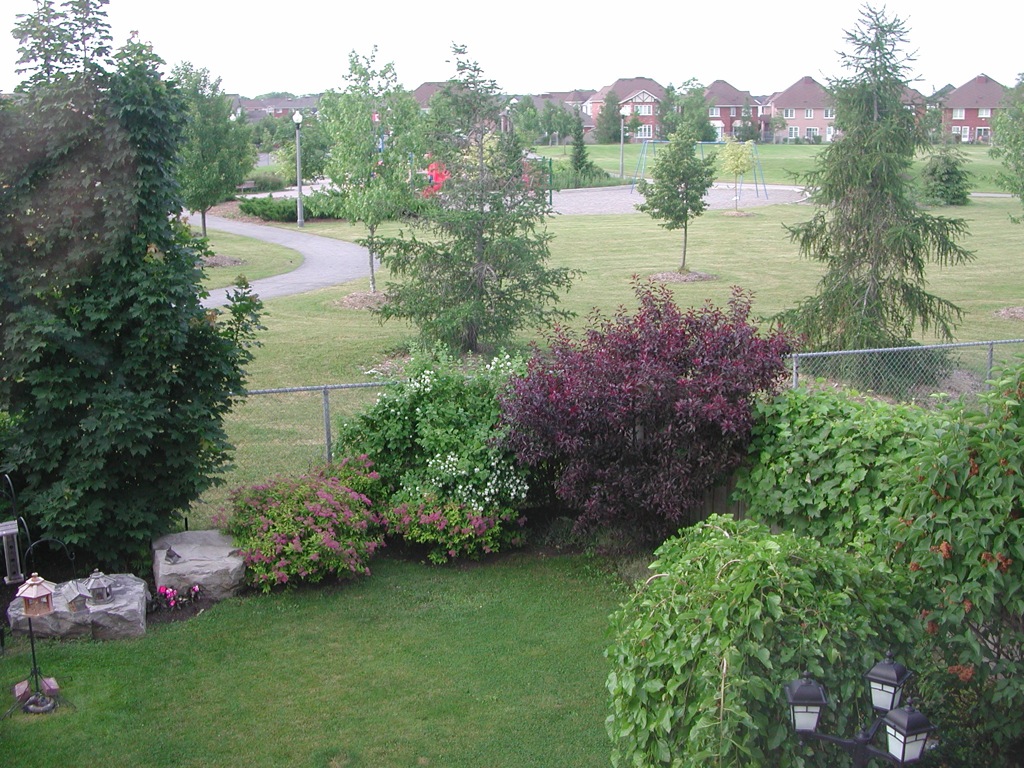 a garden filled with lots of grass next to a fence