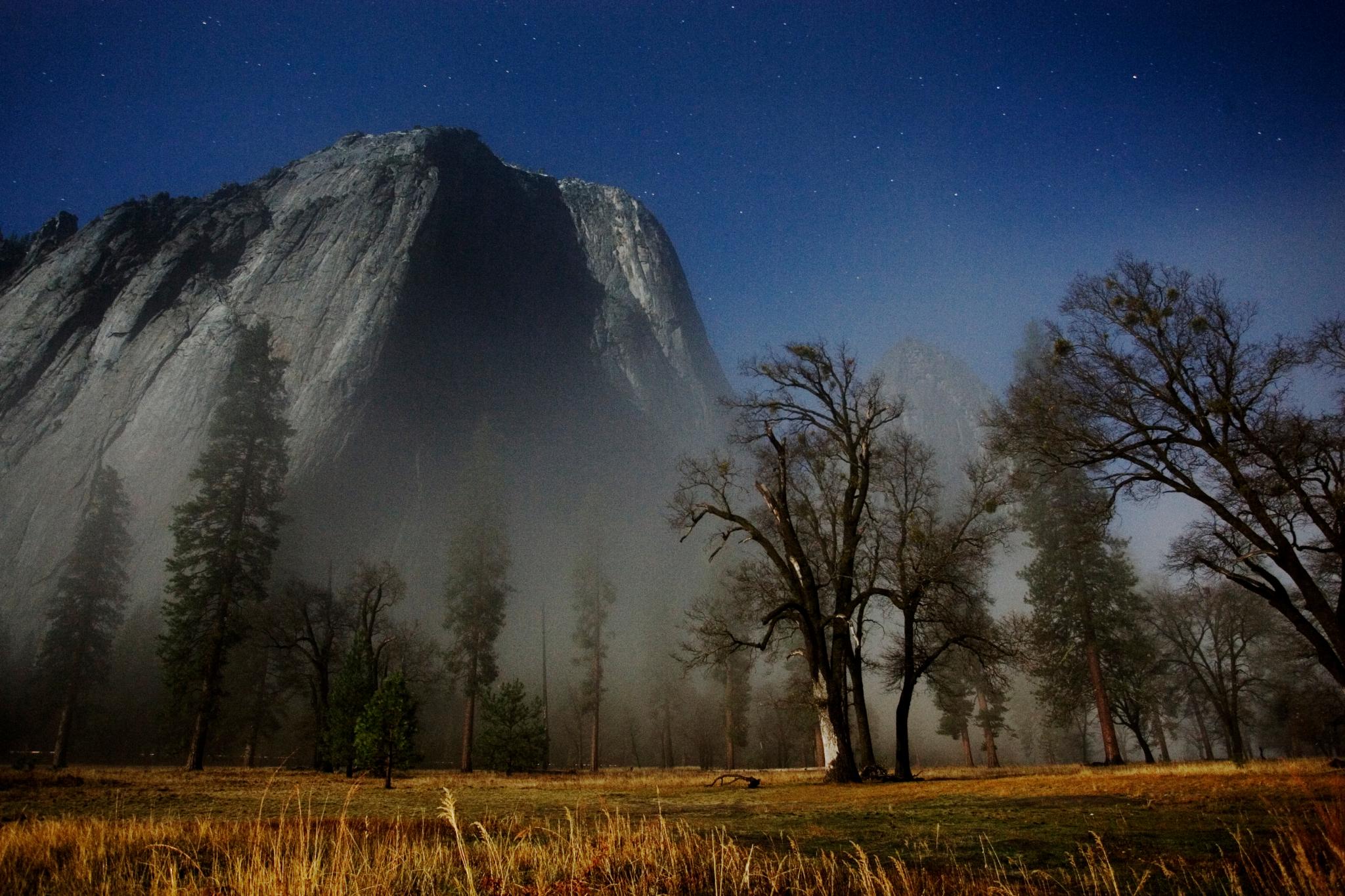 the dark woods are filled with tall trees and a big mountain in the distance