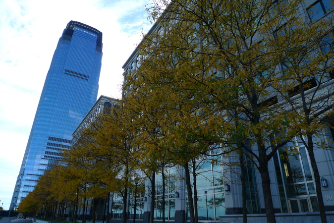 trees and the road in front of a modern office building