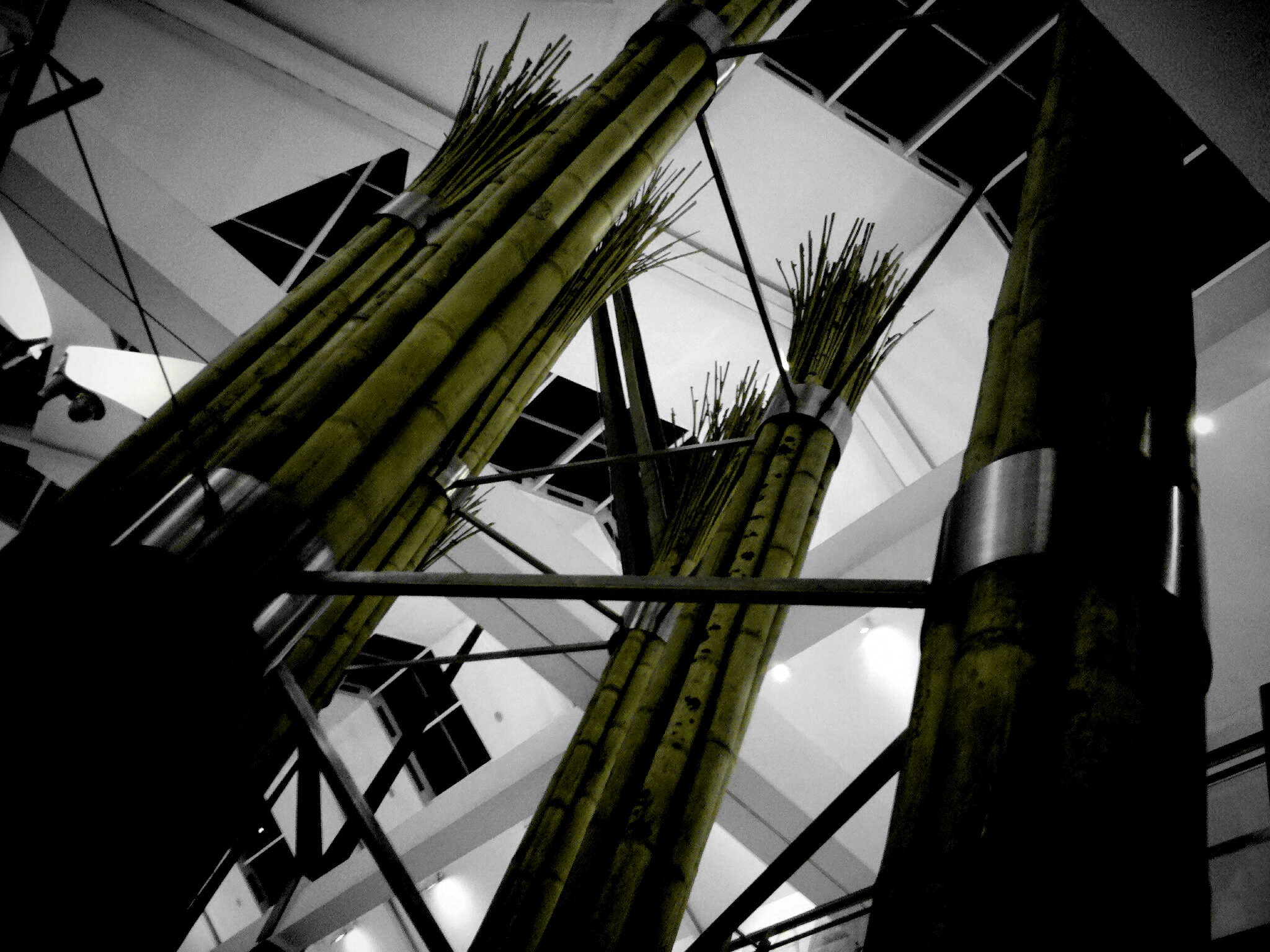 some very tall bamboo trees in a room