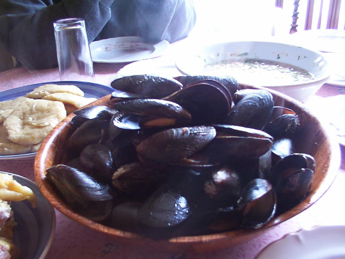 a dish of steamed mussels with dipping sauce