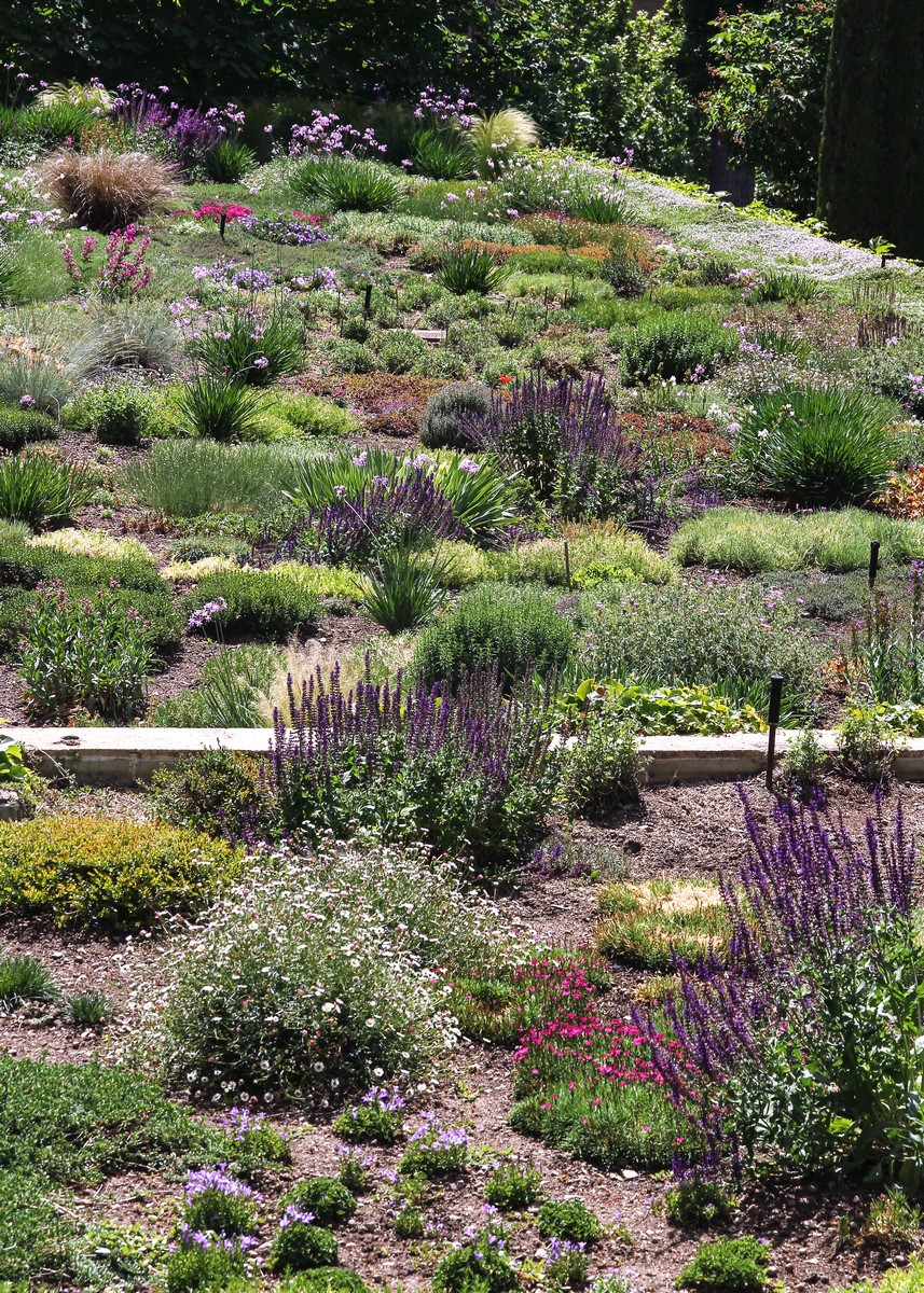 an arid garden with several benches in the middle