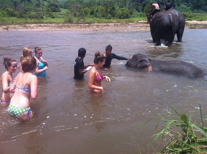 there are some elephants and people swimming in the river