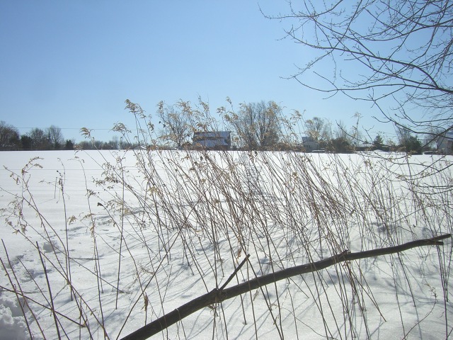 a field with grass and snow in winter