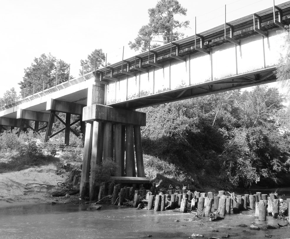 a black and white po of a bridge crossing a river