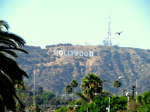 the hollywood sign is on top of a mountain