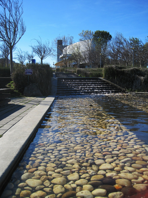 there is some very nice rocks at the edge of this pond