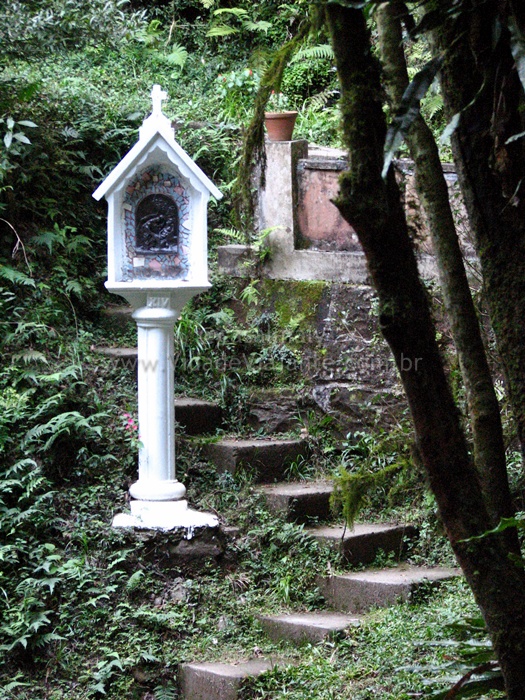 a birdhouse and some stone steps in the woods