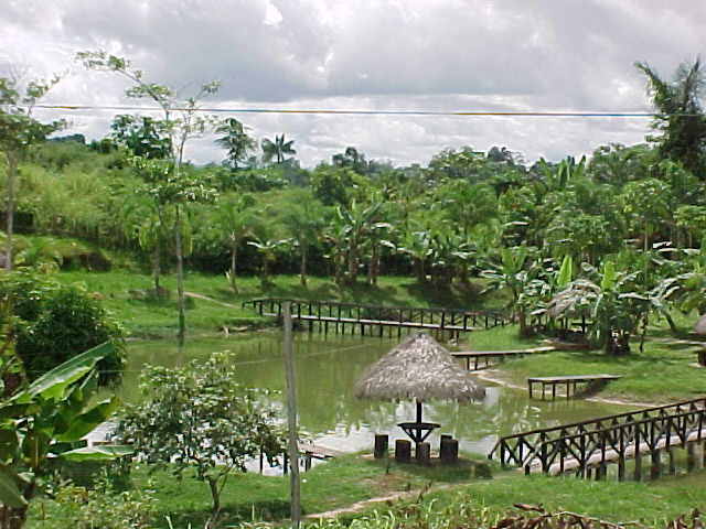 a view of a lake with houses and water features