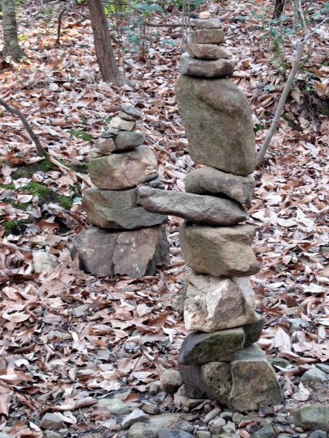 some rocks are arranged in a line in the forest