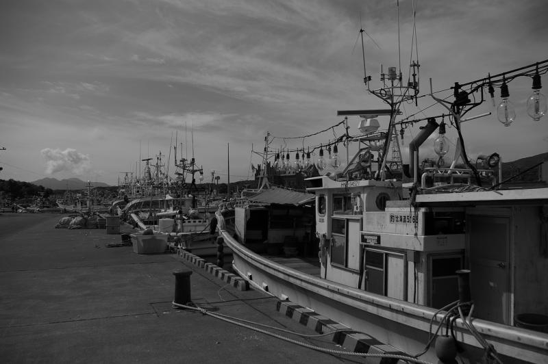 some fishing boats docked at a harbor while others wait