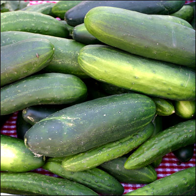 cucumbers are piled up on the table top