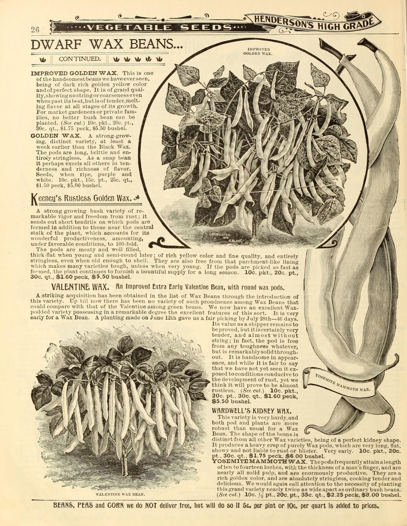 a page from an old book about flowers