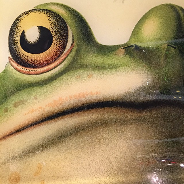 this is an image of a frog painted with acrylic