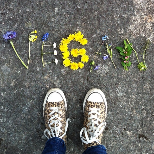 a pair of shoes standing on a street with yellow flowers in the pavement