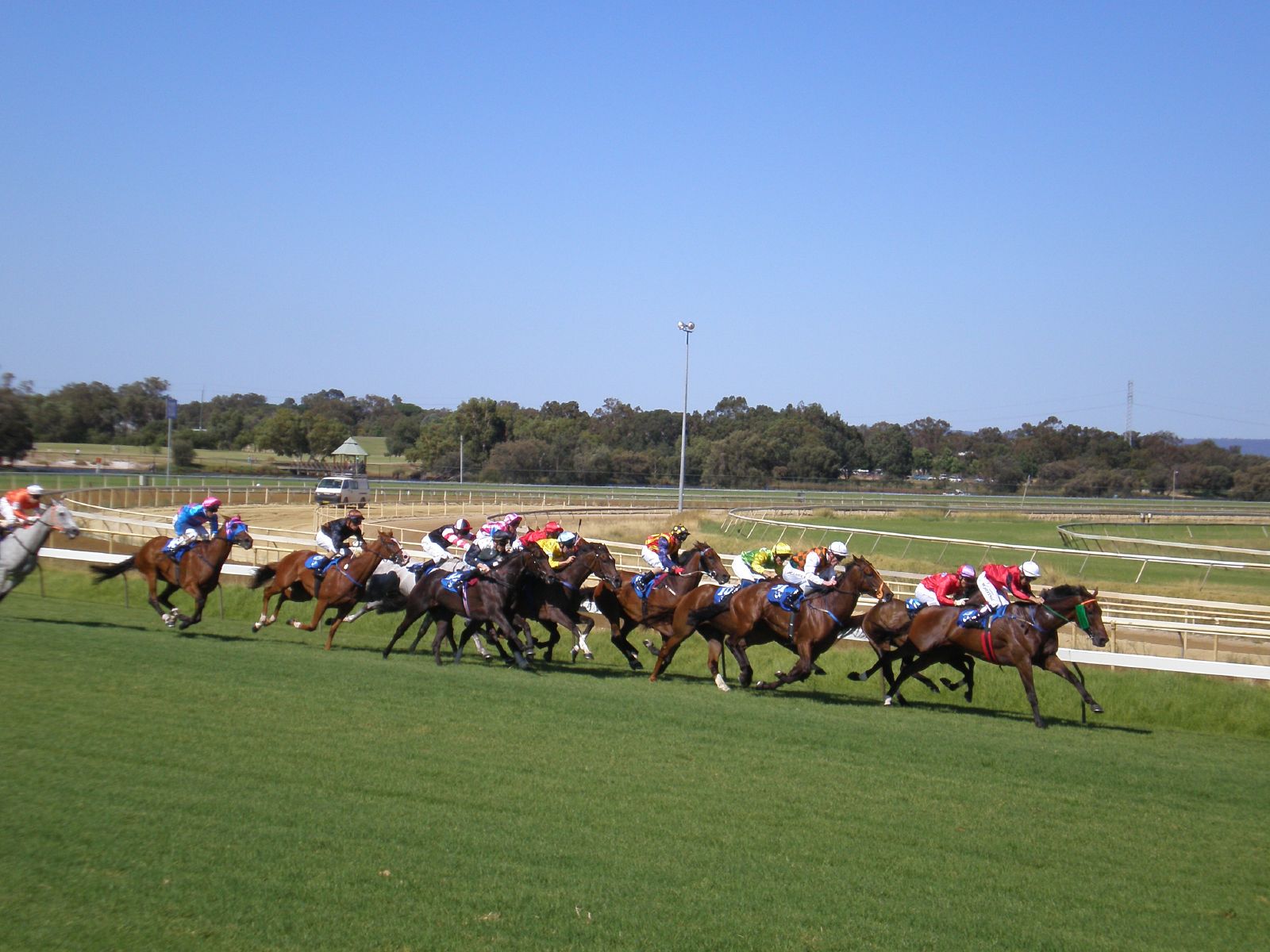 there are many horses that are racing together