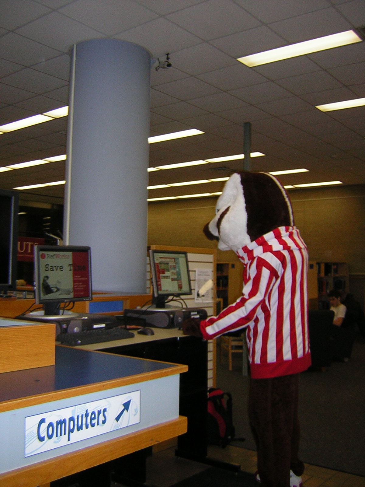 man in bunny costume at cubicle working on computer