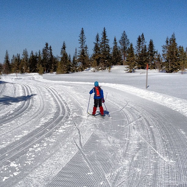 a young skier is going down a snowy road