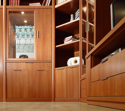 an empty wood cabinet with glass doors