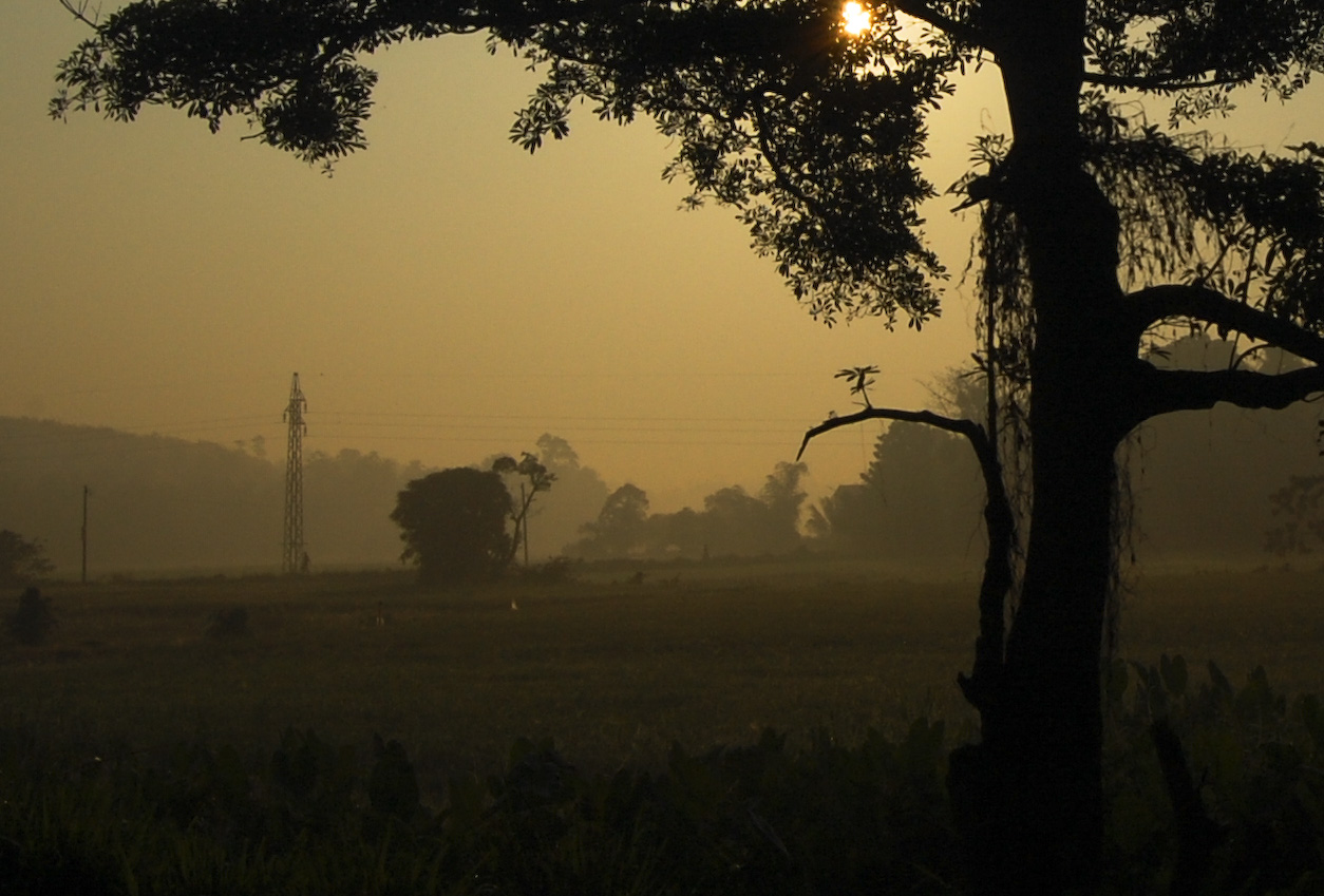 the sun is shining brightly in a field as fog rolls in