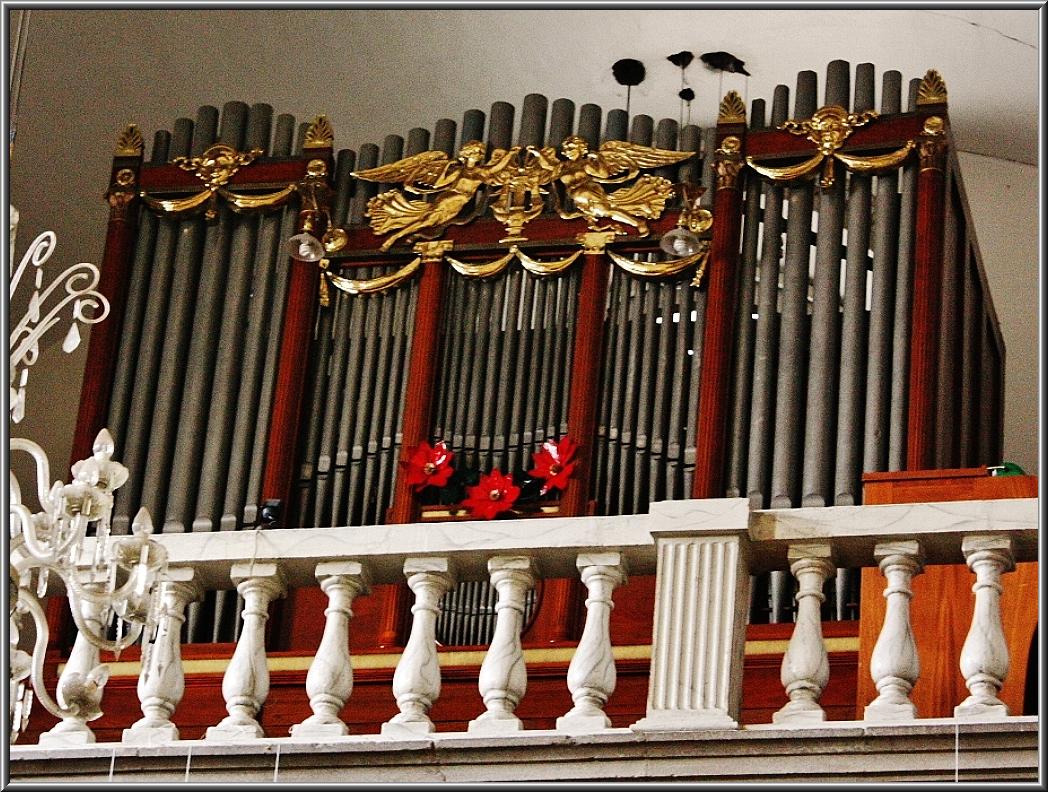 pipe organ with ornate decorations, with red flowers