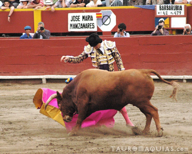 a man in a mata costume is trying to rope a bull