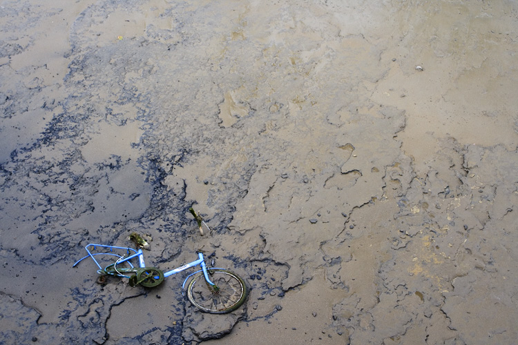 a bike and some nches are on the dirty ground