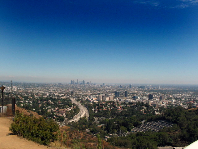 view of city from a hilltop in los angeles, ca