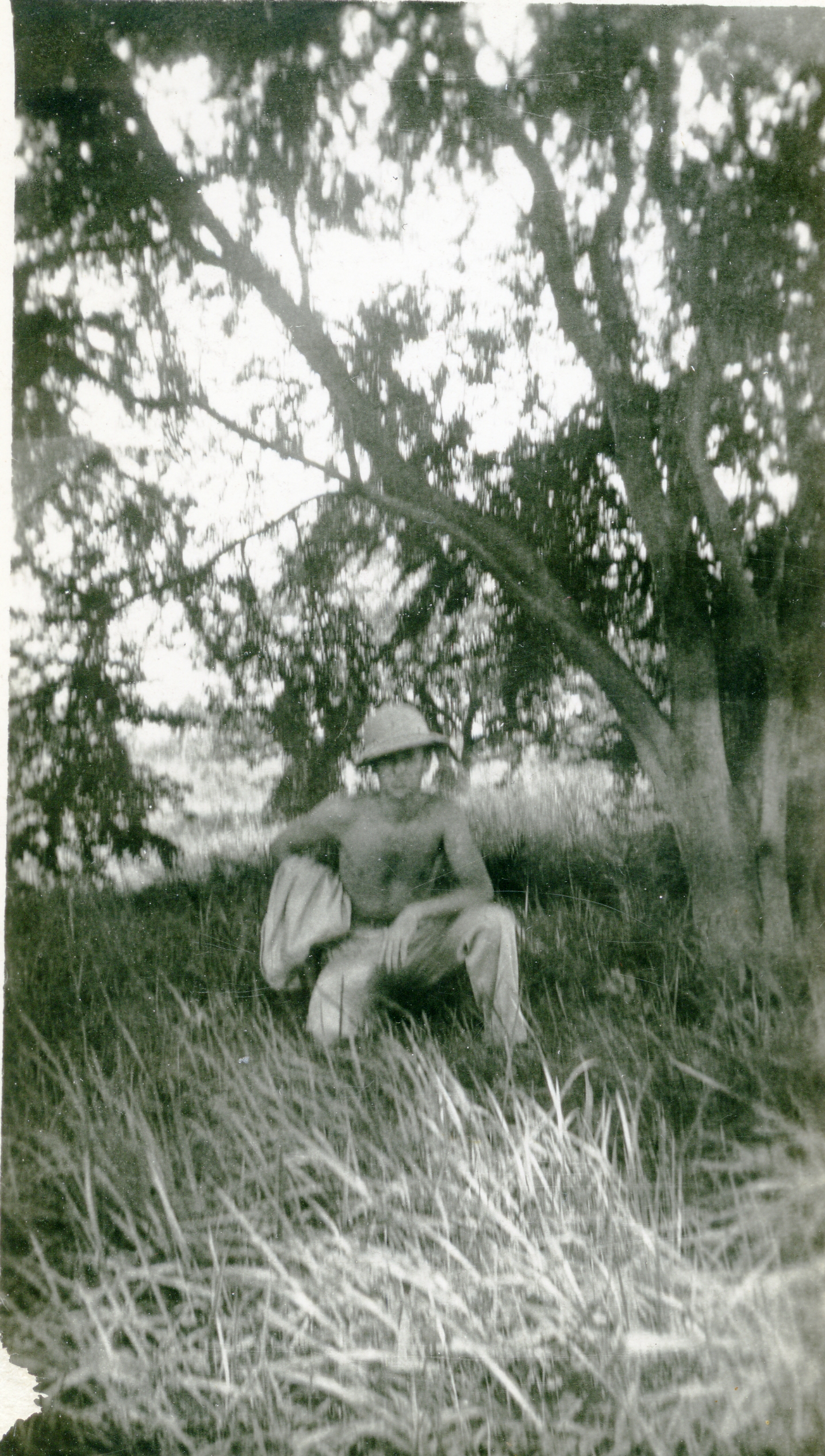 a man is sitting in the grass under trees