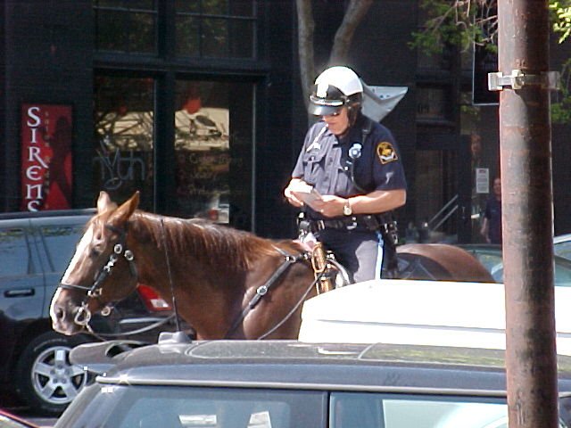 a police officer is riding on a brown horse