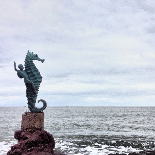 a sea horse that is on top of some rocks