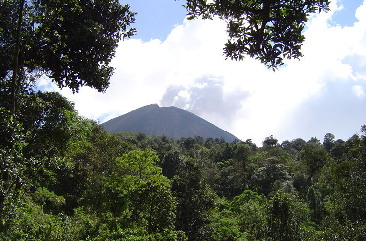 there are trees in the foreground and a volcano on top of a mountain in the background