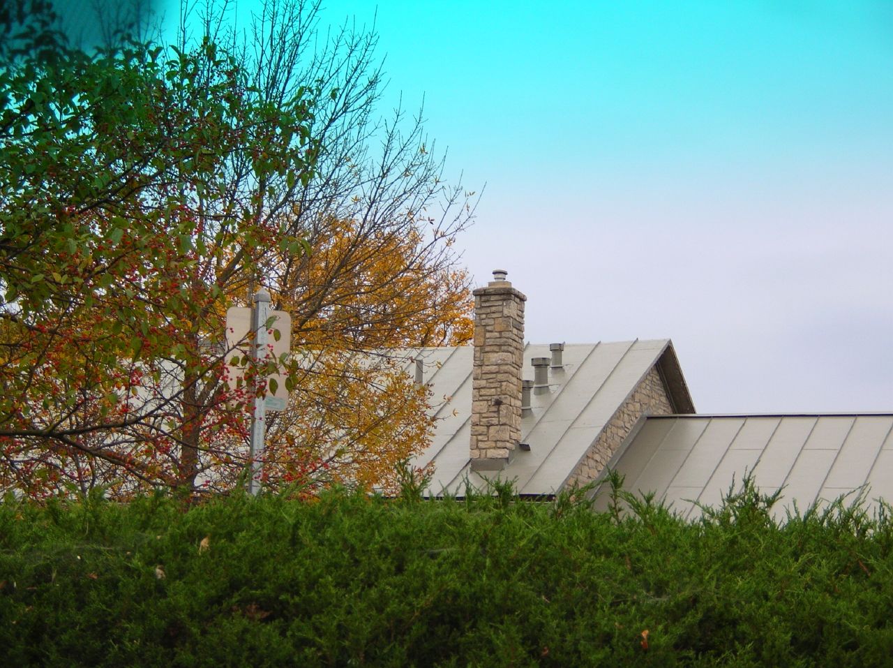 a building with the steeple and trees around it