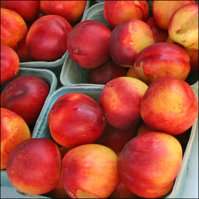 a pile of peaches sitting in container bins on display