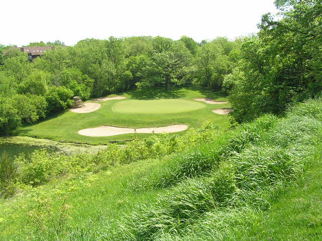 a scenic golf course near the woods