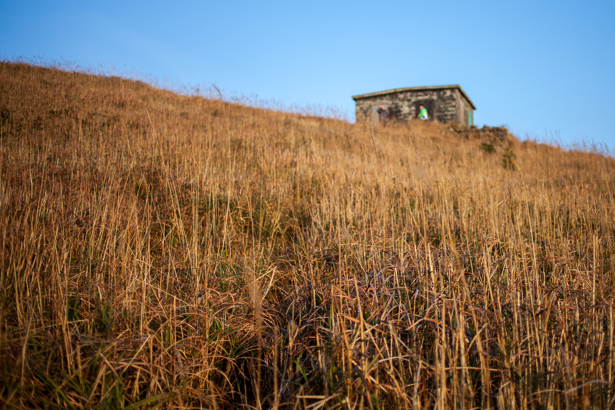 an old wooden building on top of a grass covered hill