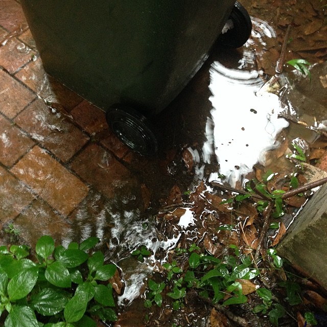 water pouring down from a pipe onto the ground