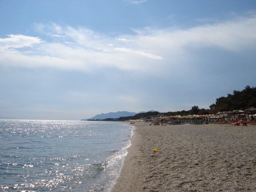 a beach near the ocean and umbrellas on a sunny day