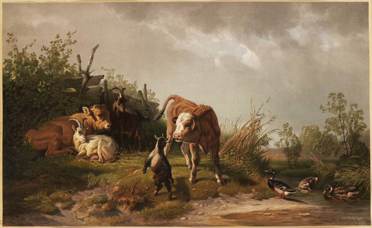 an old picture of a cow and other animals