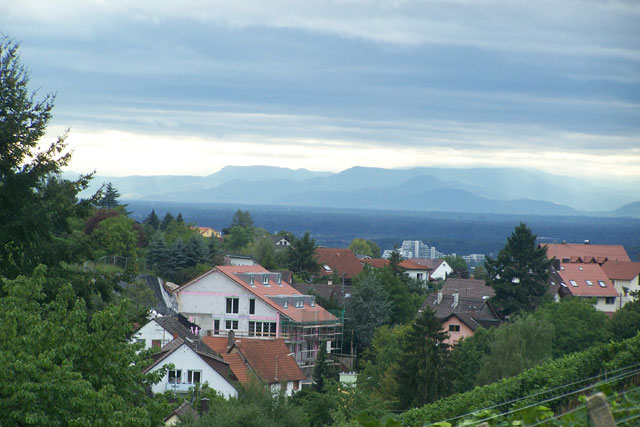 view from a hill on a small city