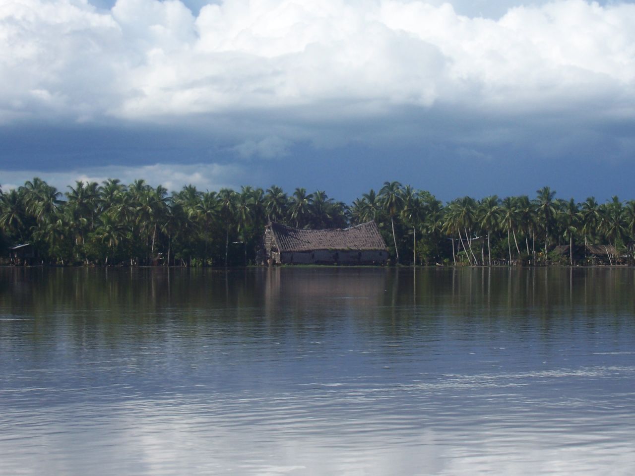 a house in the water with many palm trees