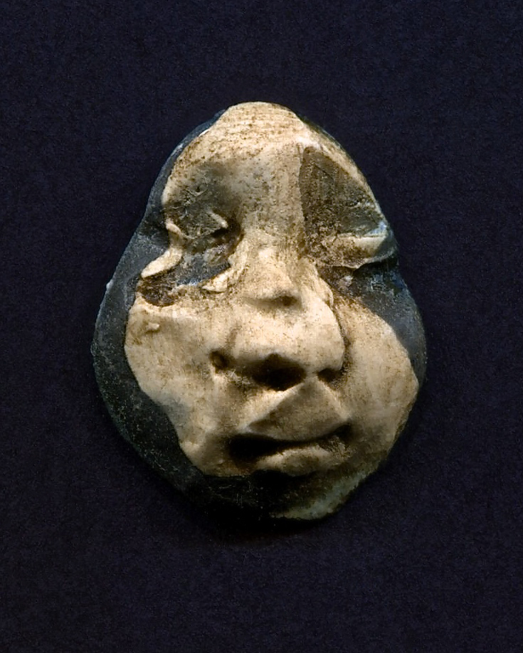 a clay head on display for a museum exhibit