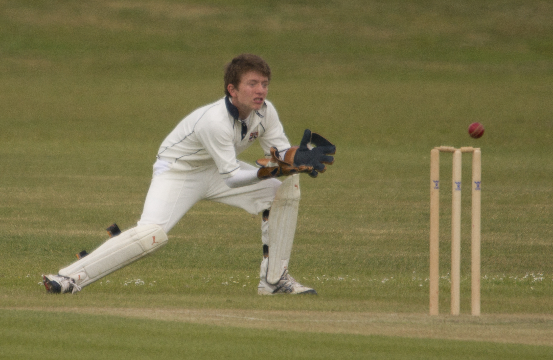 the man is batting in a cricket game